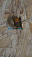 ����� ��� ��������_����_6