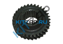 ��������_����_0